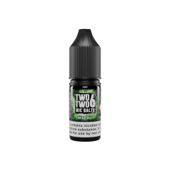 Two Two 6 Salts 10ml Wise Guy 20mg