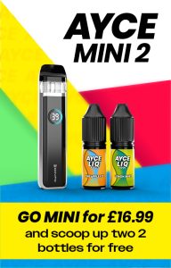 Ayce mini 2