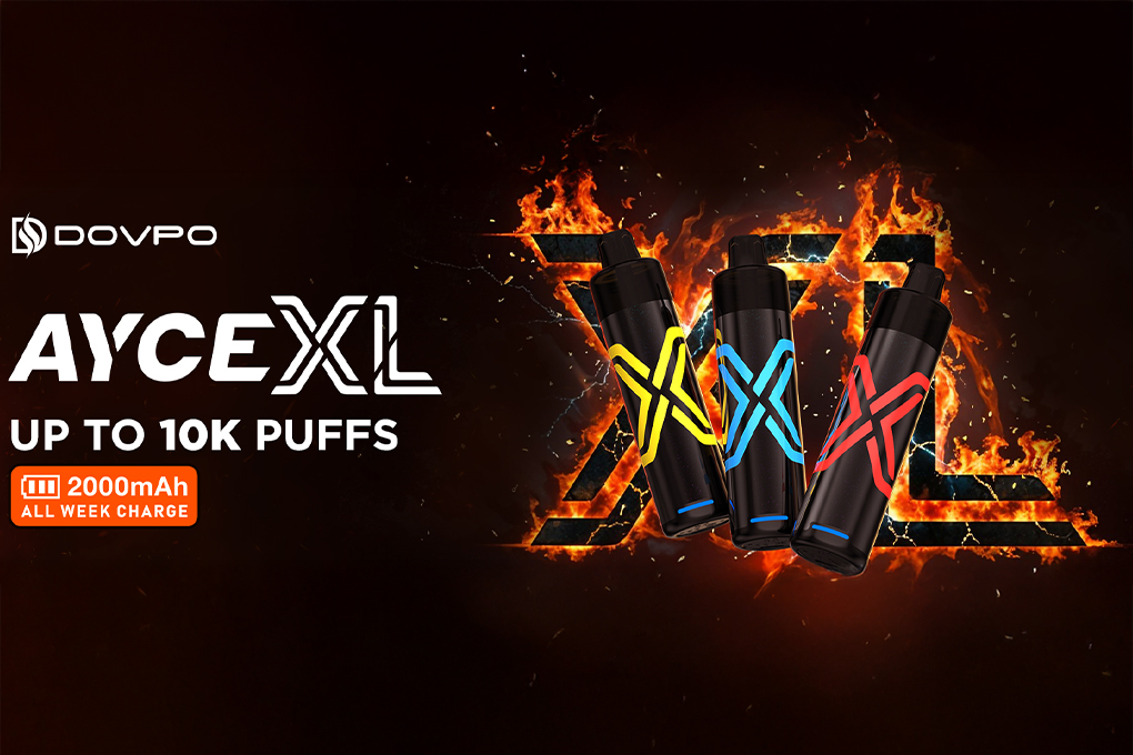 Ayce XL Blog Post Banner