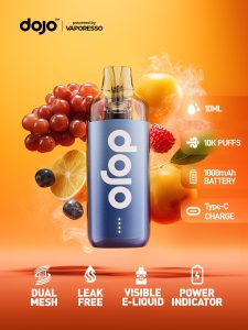 Dojo Blast 10k Features Poster