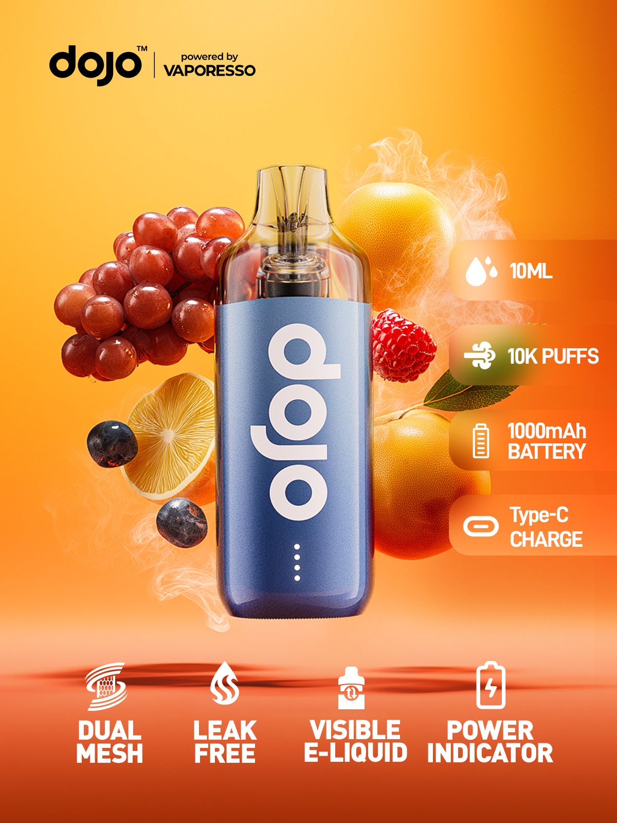 Dojo Blast 10k Features Poster Dojo Blast 10k Features Poster